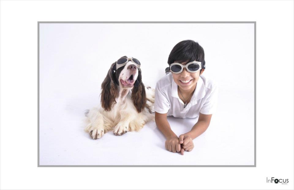 Springer Spaniel Monroykennel