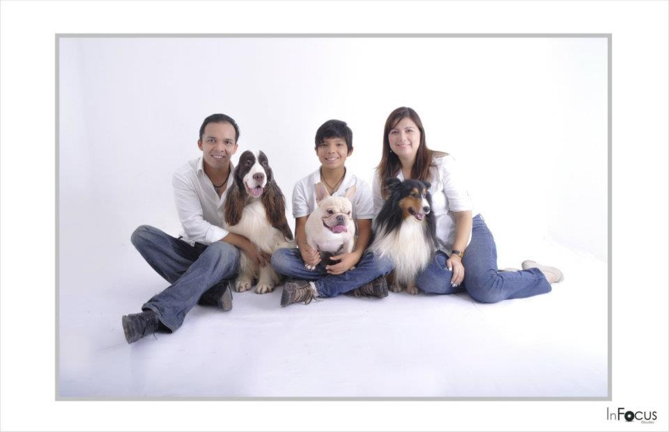 Springer Spaniel Monroykennel