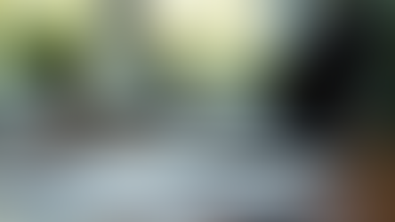 Website creation: Strategies for a strong online presence