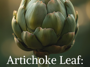 Artichoke Plant 