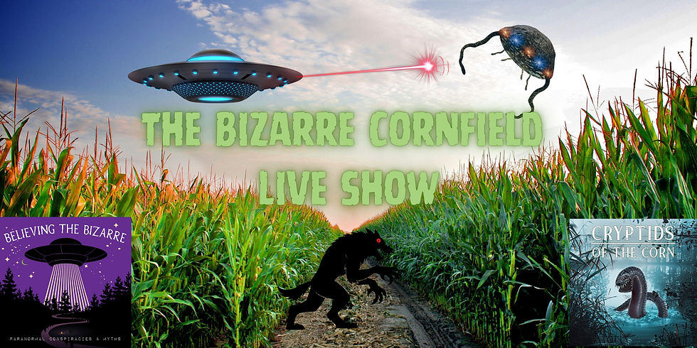 The Bizarre Cornfield Live show.jpg
