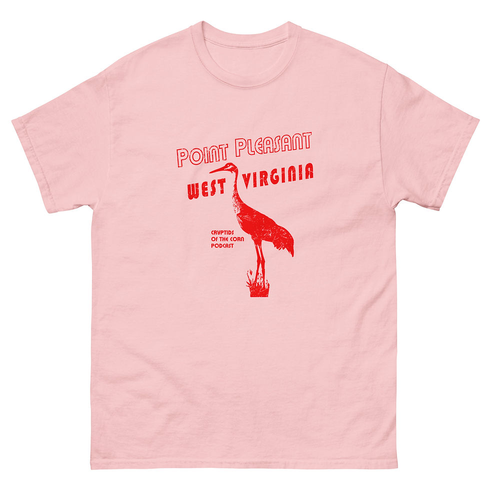 Thumbnail: Sandhill Crane of Point Pleasant by Jonathan Kvassay Unisex classic tee