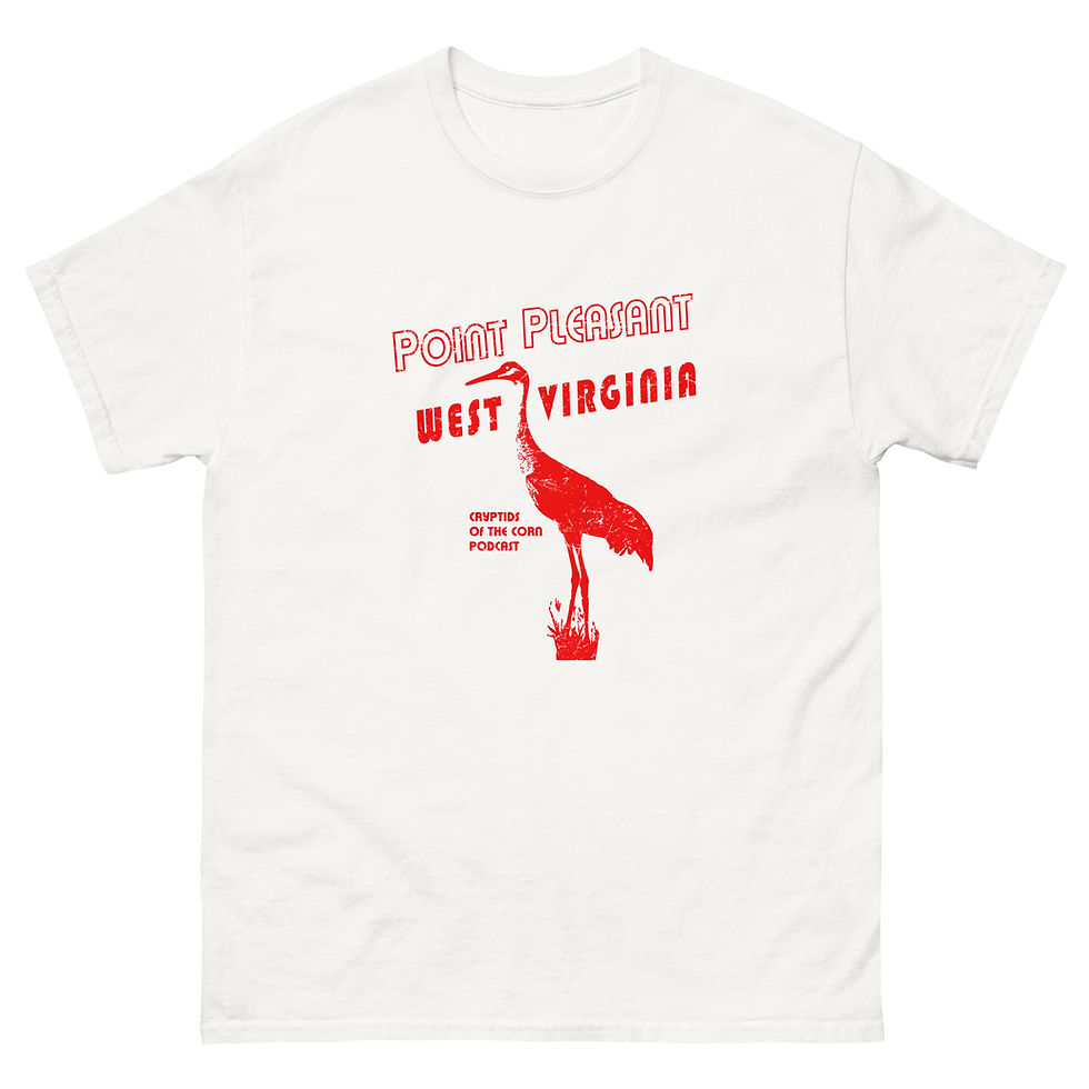 Thumbnail: Sandhill Crane of Point Pleasant by Jonathan Kvassay Unisex classic tee