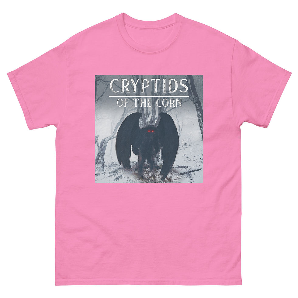 Thumbnail: Mothman Unisex classic tee
