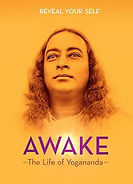 awake movie.jpg