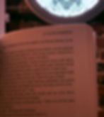 An up-close image of the inside of a book.