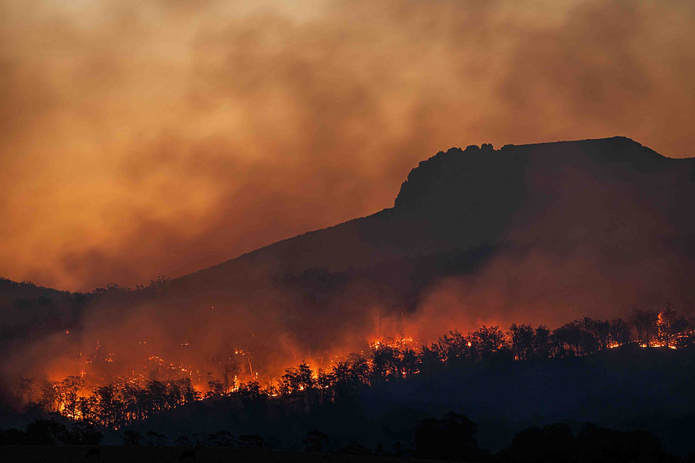 Dramatic Wildfire Engulfs Mountain Forest Under Smoky Sky
