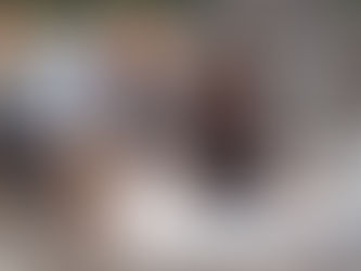 The Hidden Cost of an Older Roof: Why Age Matters to Your Insurance Policy