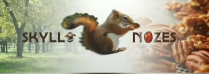 Logo skyllo.png