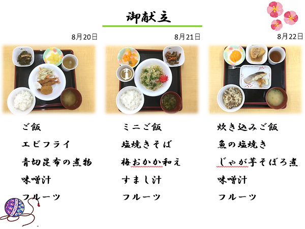 普段の献立紹介2.png