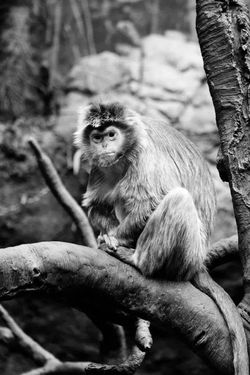 received_10152770379305539