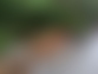 Gobierno Municipal de Huauchinango y Gobierno del Estado impulsan la rehabilitación de sistemas de agua potable en cuatro comunidades