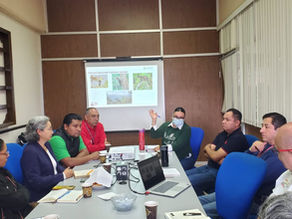 Alianza académica y ambiental: proyectos de restauración ecológica en la cuenca del Río Necaxa.