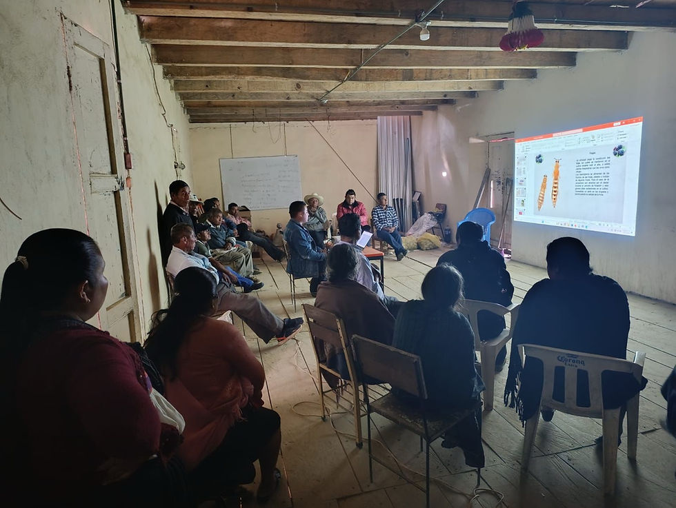 Inversión en el campo: Gobierno de Huauchinango lleva conocimiento a sus productores