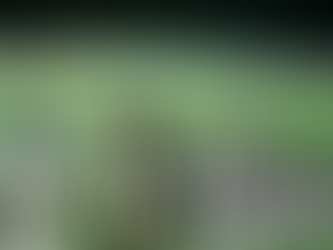 The White Sox Trippy Magic Carpet Ride of 1969