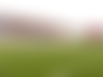 Arizona Cardinals Big Move in 2028: New Training Facility, A Game-Change