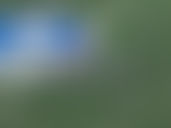 MetLife Stadium - New York Giants