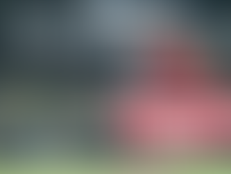 Columbus Scrambled Dogs, Close to 40 Years in the Making