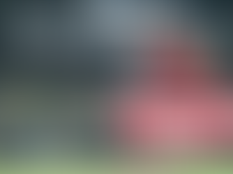 Columbus Scrambled Dogs, Close to 40 Years in the Making