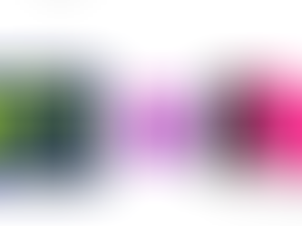 The Women’s Sports Network (WSN) Vs. the All Women's Sports Network (AWSN)