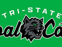 The Appy League is Cool for Coal Cats