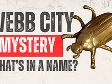 Who Were the Webb City Golden Bugs?