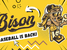 The Bison are Back in the Independence League