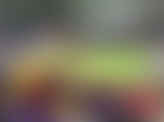 US Bank Stadium - Minnesota Golden Gophers