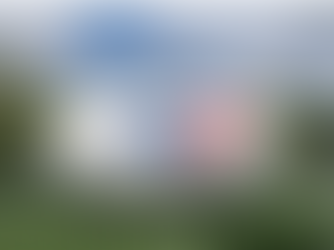 American 7s Football League (A7FL): 7-on-7, No Helmets, No Pads Football