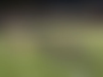 Joe Burrow Stadium - Athens High School Bulldogs