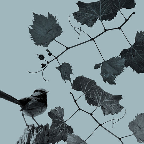 Bowral Autumn Music Festival 2026 Concert #2 