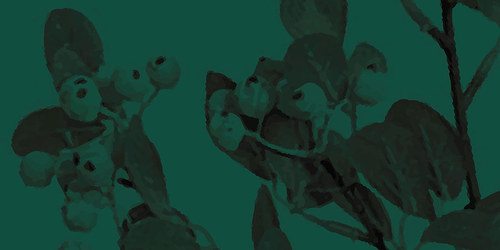 _edited.jpg