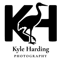 output-onlinepngtools.png