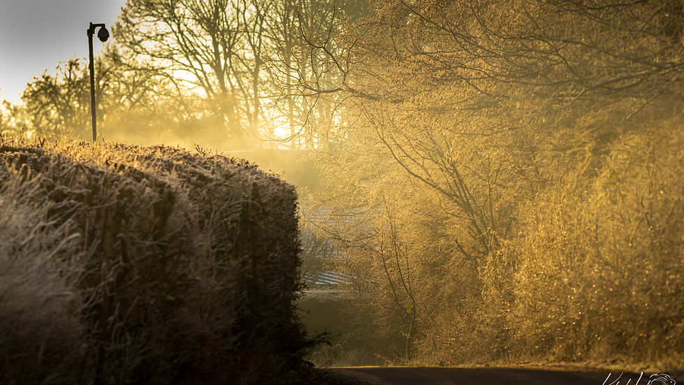 A cold misty sunrise on a road