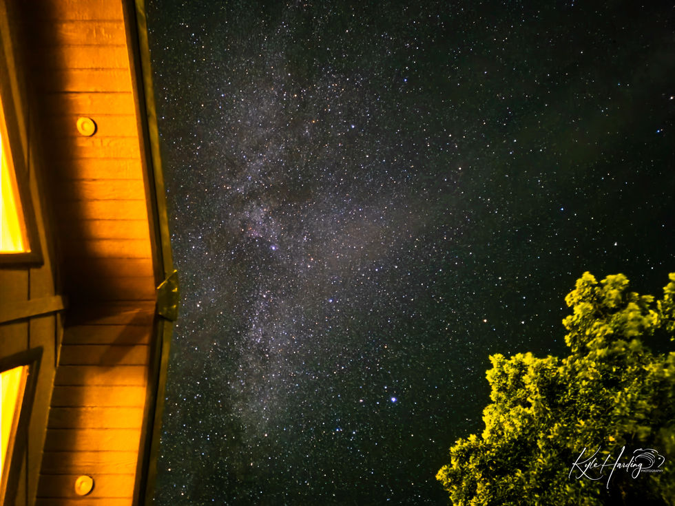 a starry night sky with a tree in the foreground