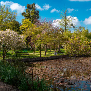 a park with a pond surrounded by trees and flowers