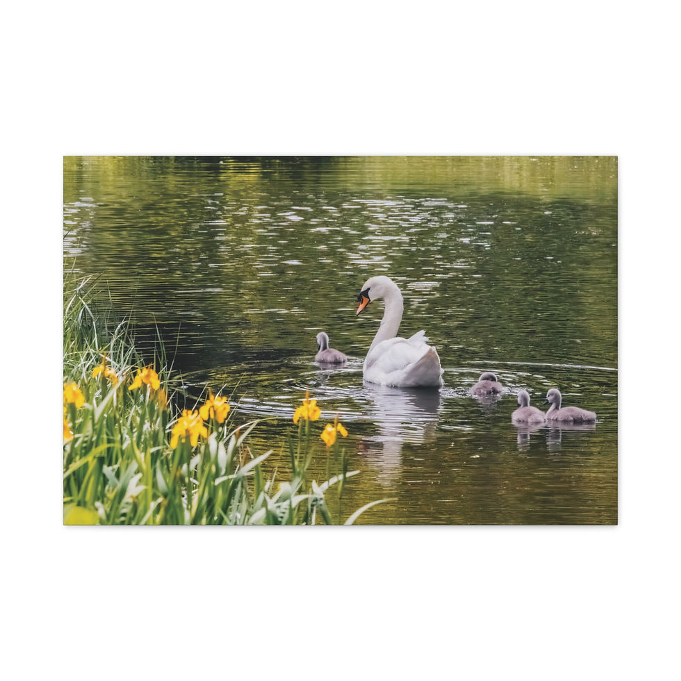 Thumbnail: Canvas Art Print: "Still Waters, Gentle Watch"