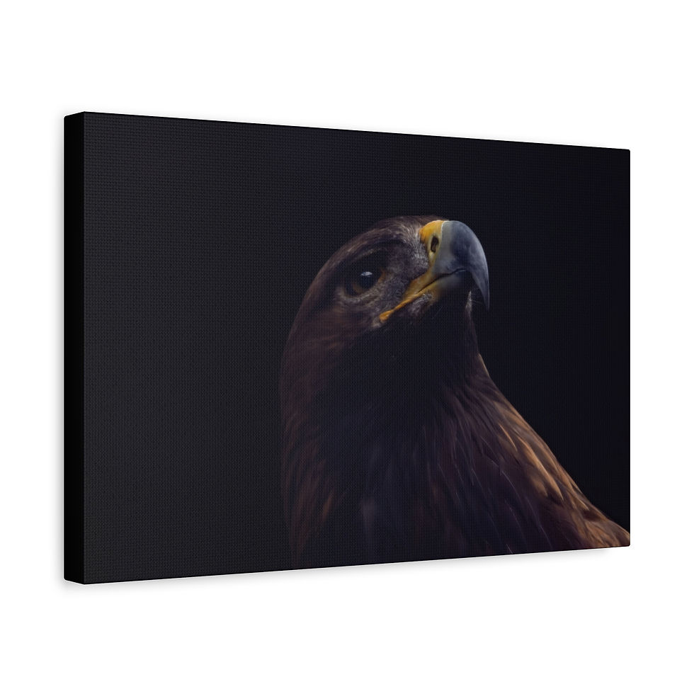 Thumbnail: "Gold in the Shadows" - Golden Eagle Wall Art Print