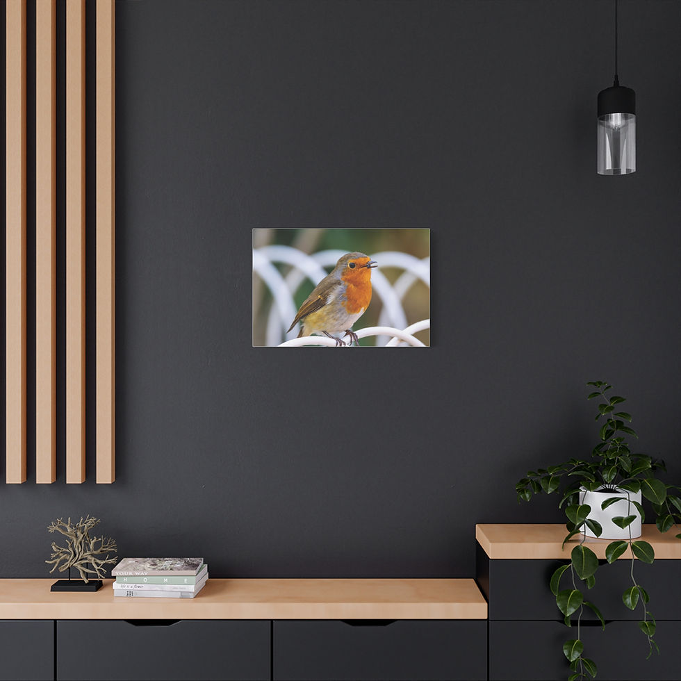 Thumbnail: Robin with Berry | Fine Art Robin Wall Art Print