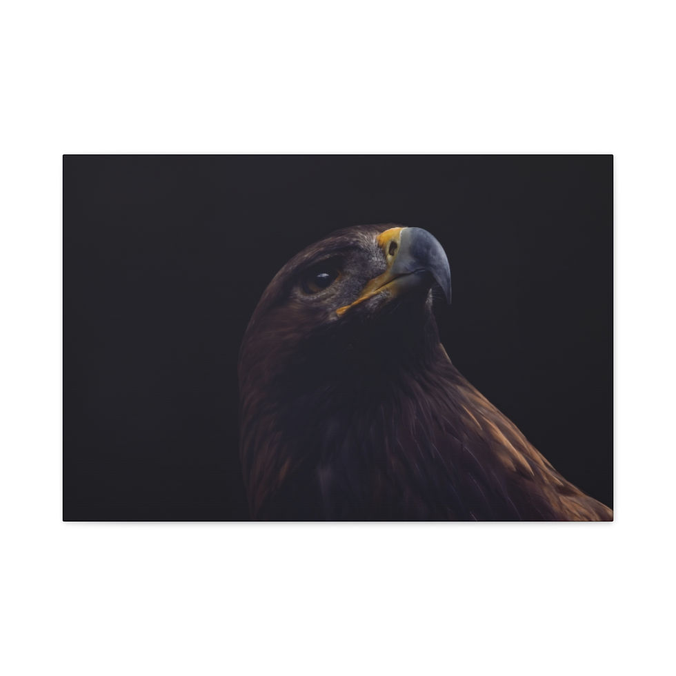 Thumbnail: "Gold in the Shadows" - Golden Eagle Wall Art Print