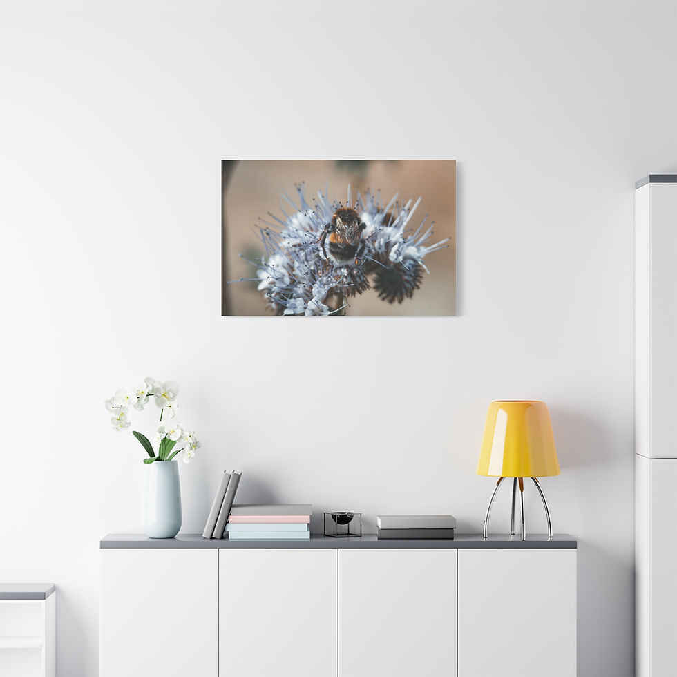 Thumbnail: Canvas Art Print: "Wings in focus"