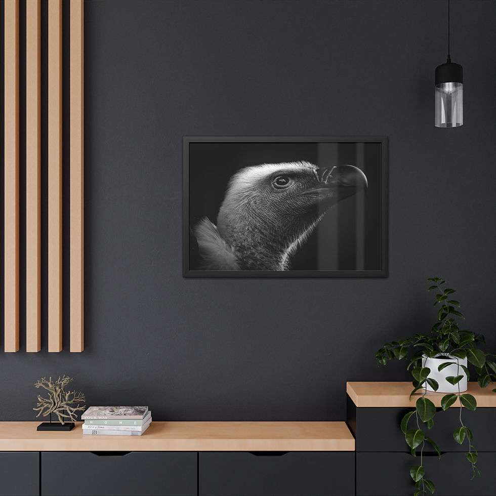 Thumbnail: Silent Authority – Fine Art Framed Print