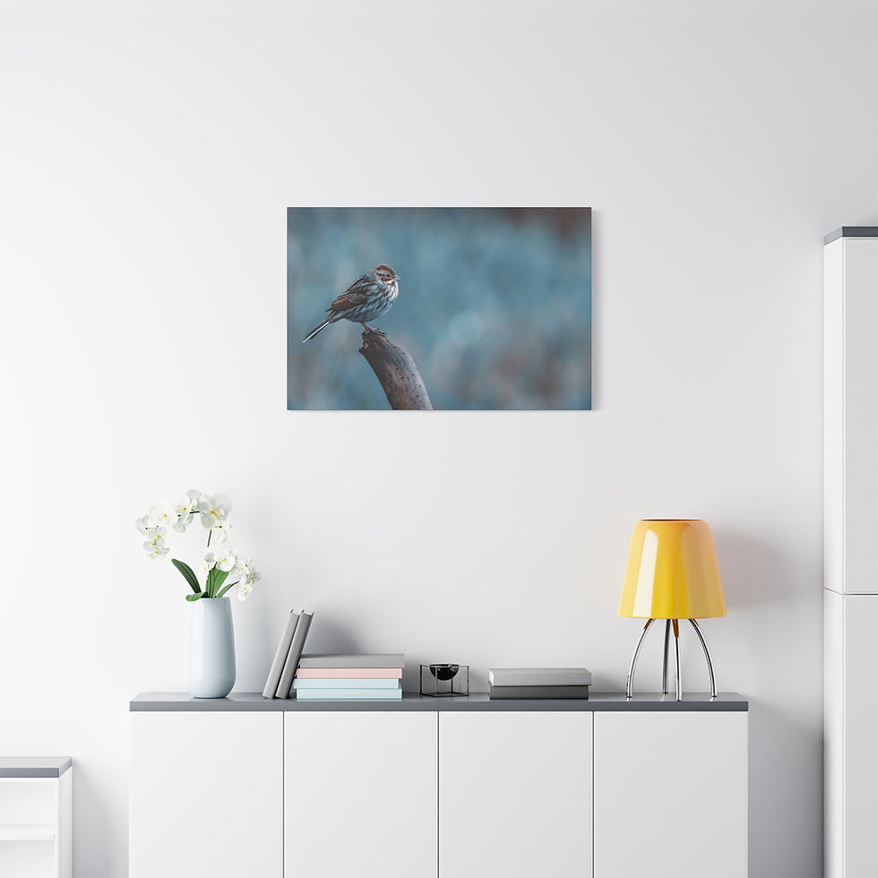 Thumbnail: Stillness on Driftwood – Fine Art Wildlife Canvas Print