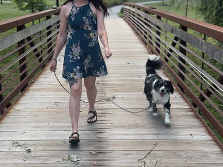 "The Instagram Algorithm": Why you can't hack it and how to work with it as a dog trainer on social media