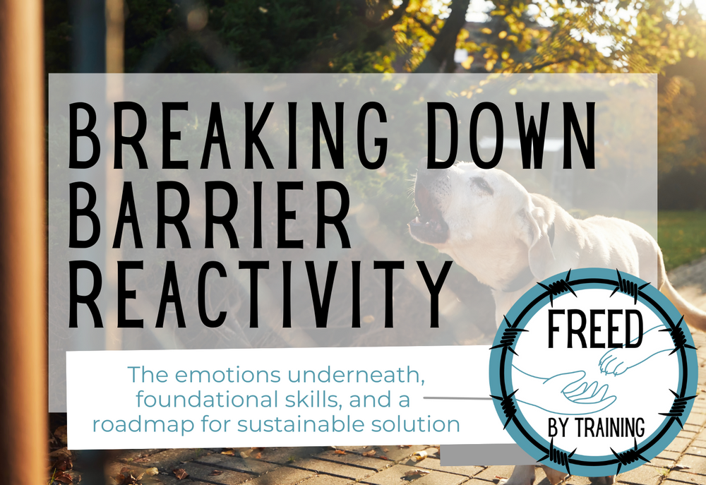 Breaking Down Barrier Reactivity Freed by Training