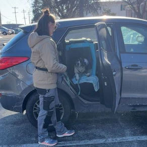 7 Minute Training Game to Build Calmer Car Rides