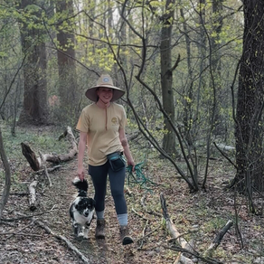 Content Creation for Dog Trainers in 2025: What’s Changed (and What Still Works)