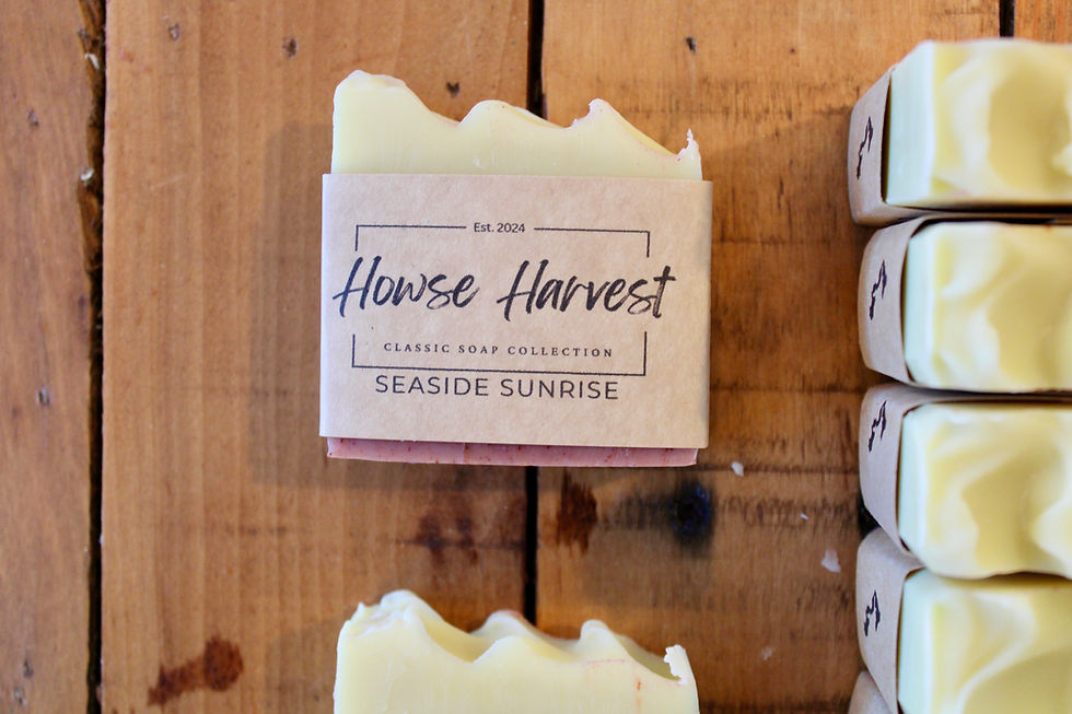 Thumbnail: Seaside Sunrise