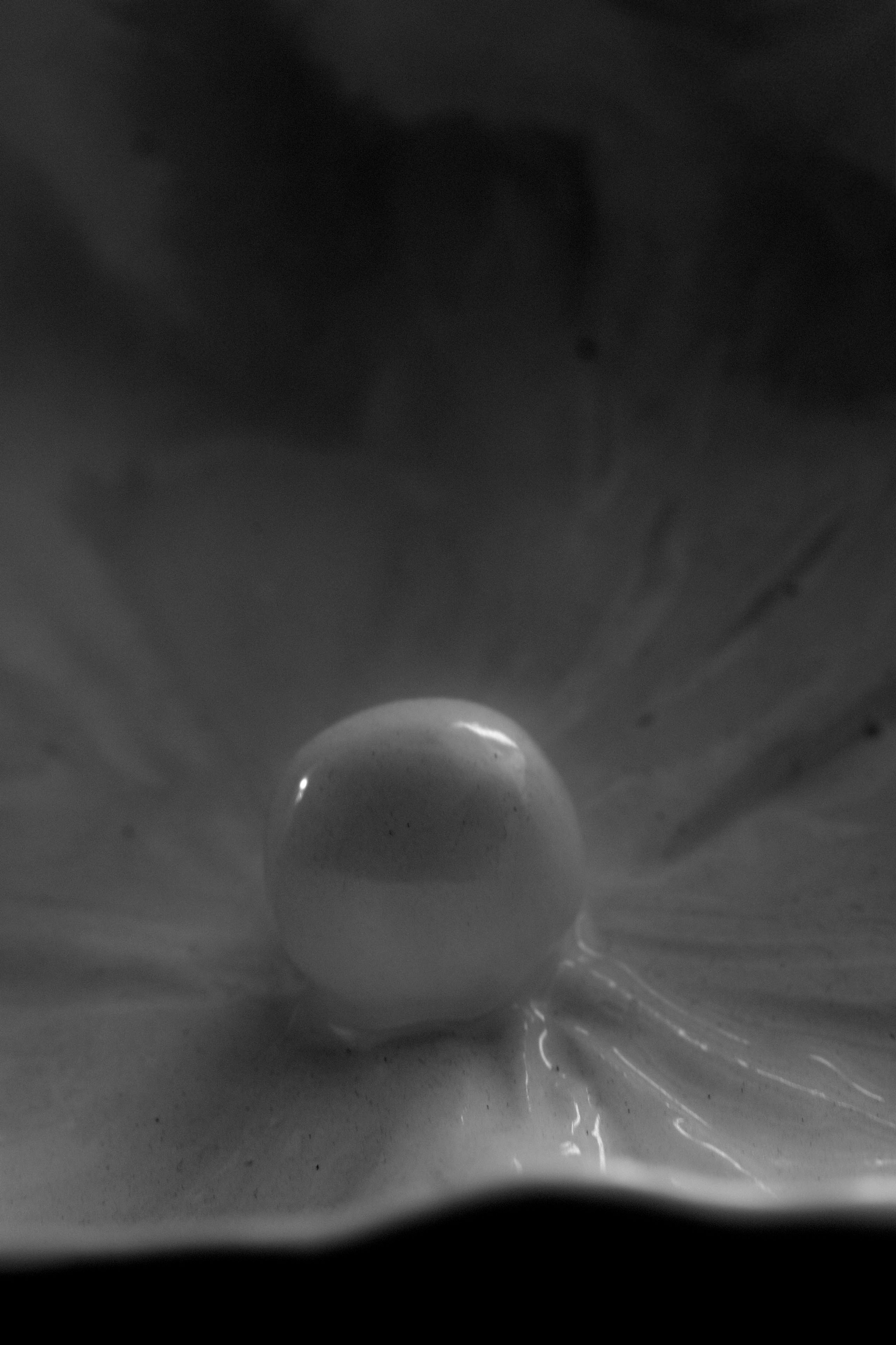 Frederico Evaristo - Sem Título