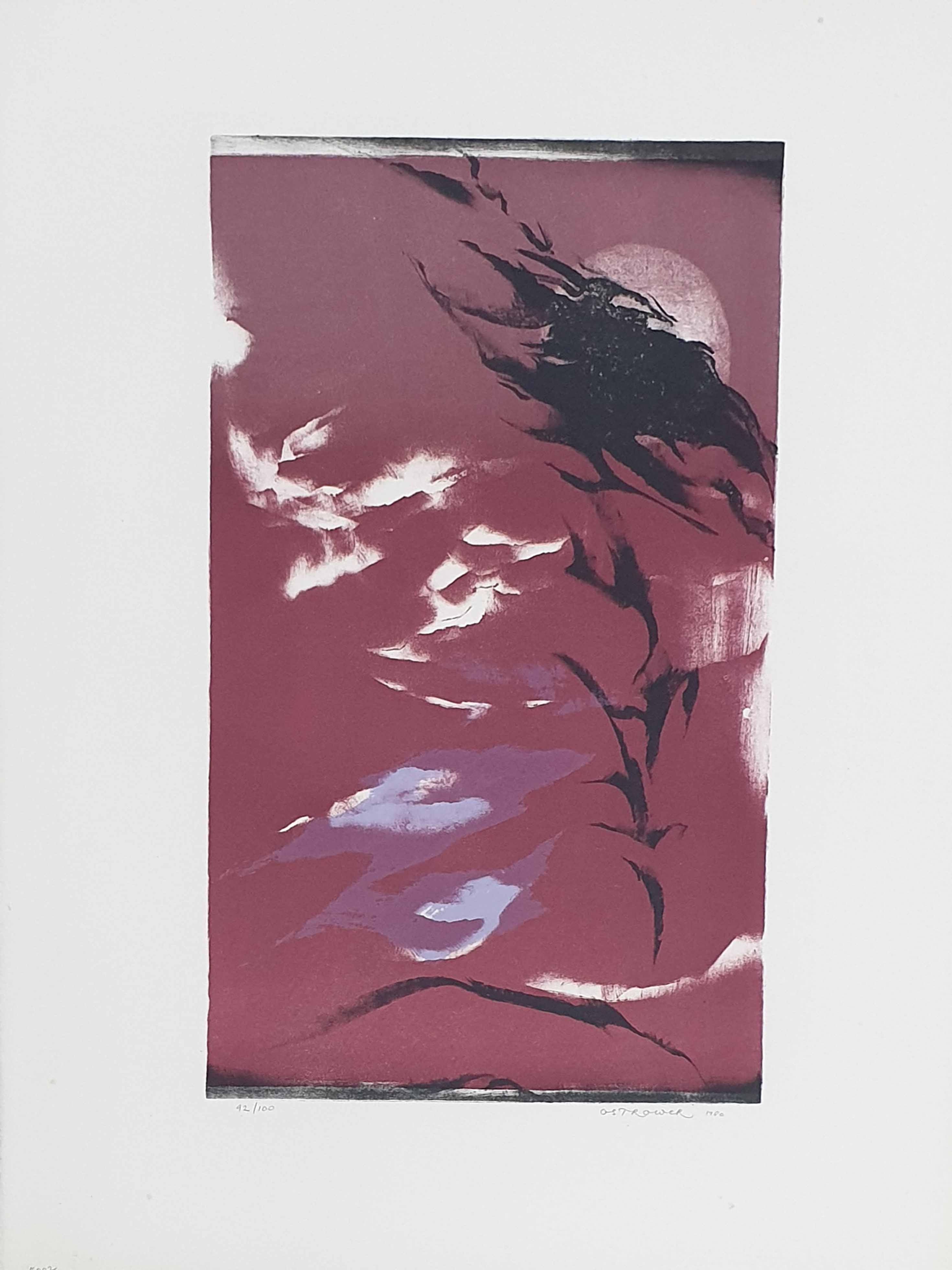 Entardecer - Fayga Ostrower